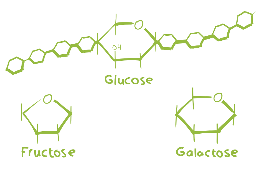 Monosaccharide