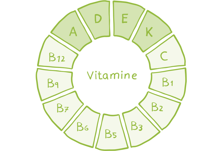 fettlösliche-Vitamine-im-Überblick